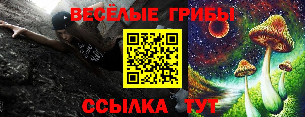 Псилоцибиновые грибы GOLDEN TEACHER Чапаевск
