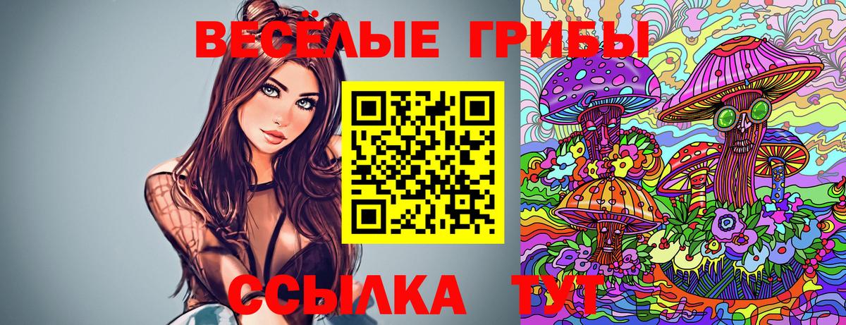 Чапаевск  где можно купить наркотик  Вход с VPN  Галлюциногенные грибы прущие грибы  Галлюциногенные грибы мухоморы 